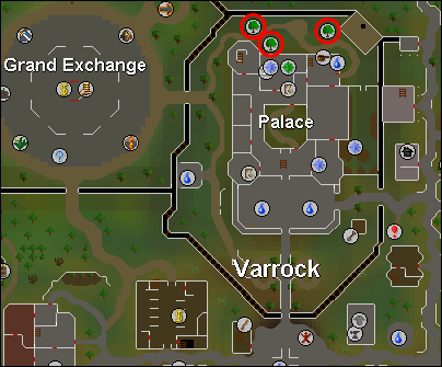 Varrock Yew Trees map location
